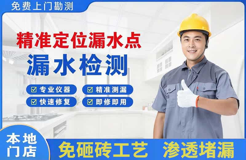 爱辉精准测漏点
